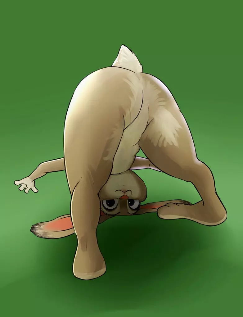 d9q8n0z